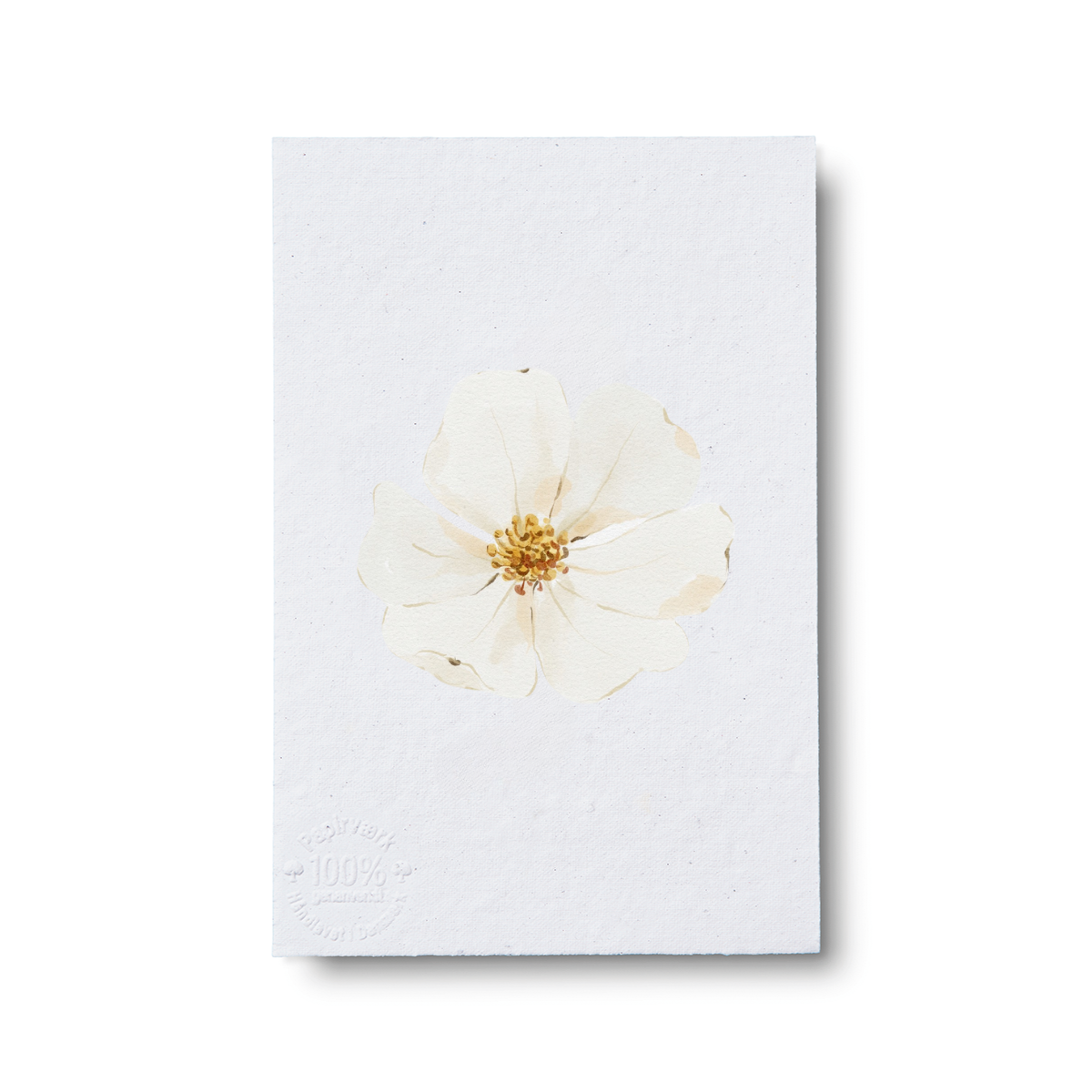 Lily