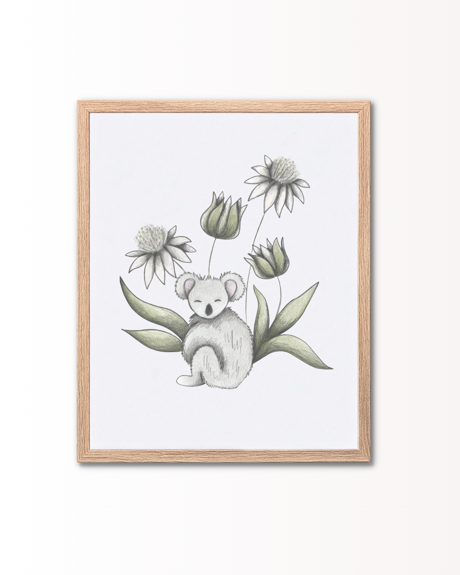 Cecilia Battaini - Koala
