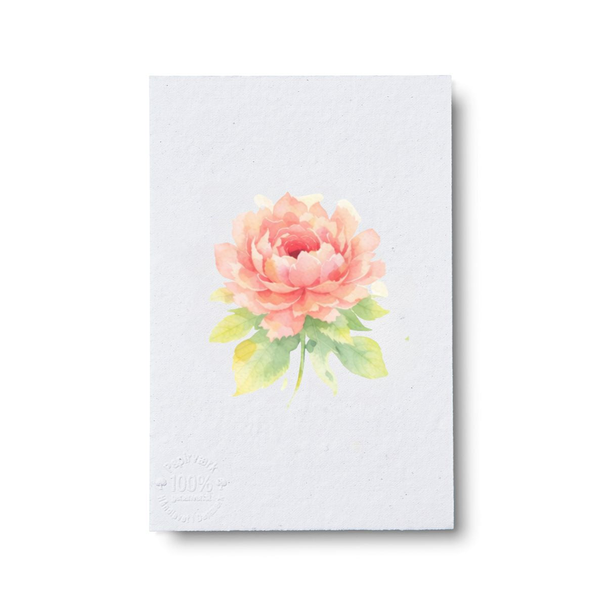 Peony flower