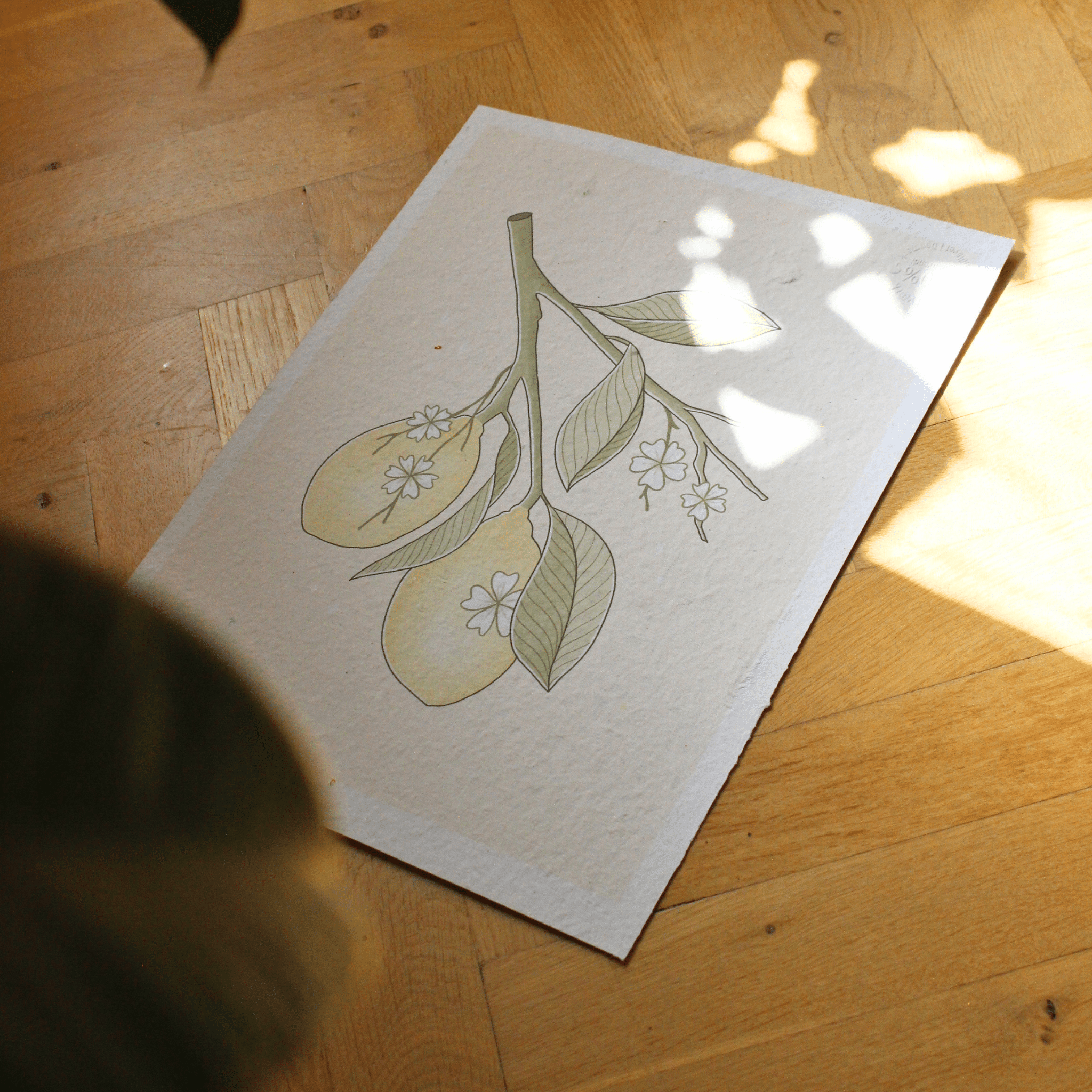 Barlena - Lemons - Papirværk