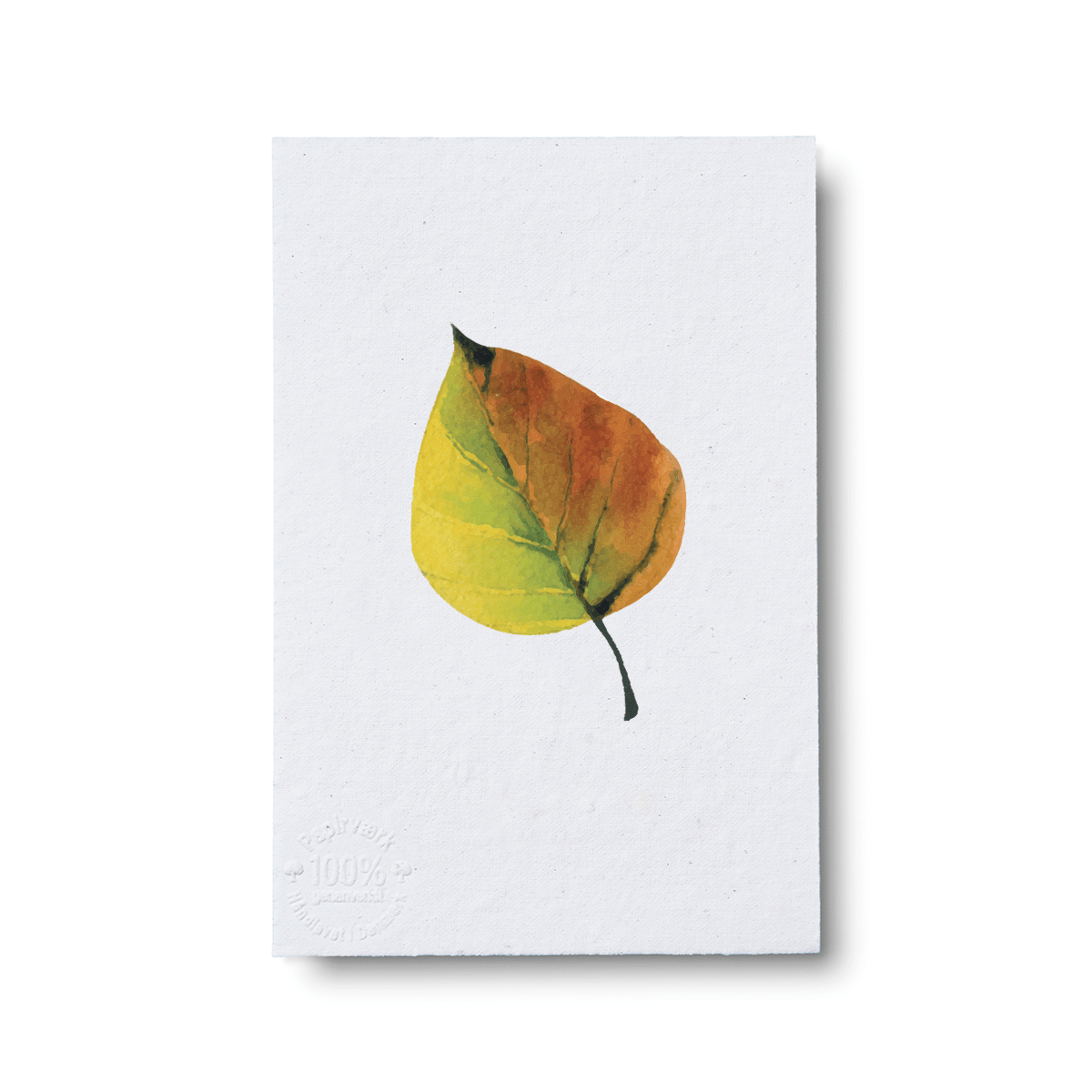 Buckthorn - Papirværk