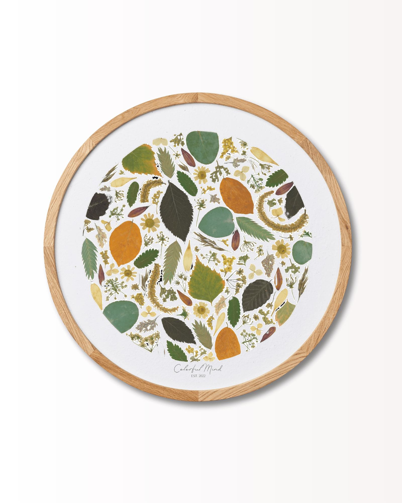 Colorful Mind Studio - Flower Earth (rund) - Papirværk