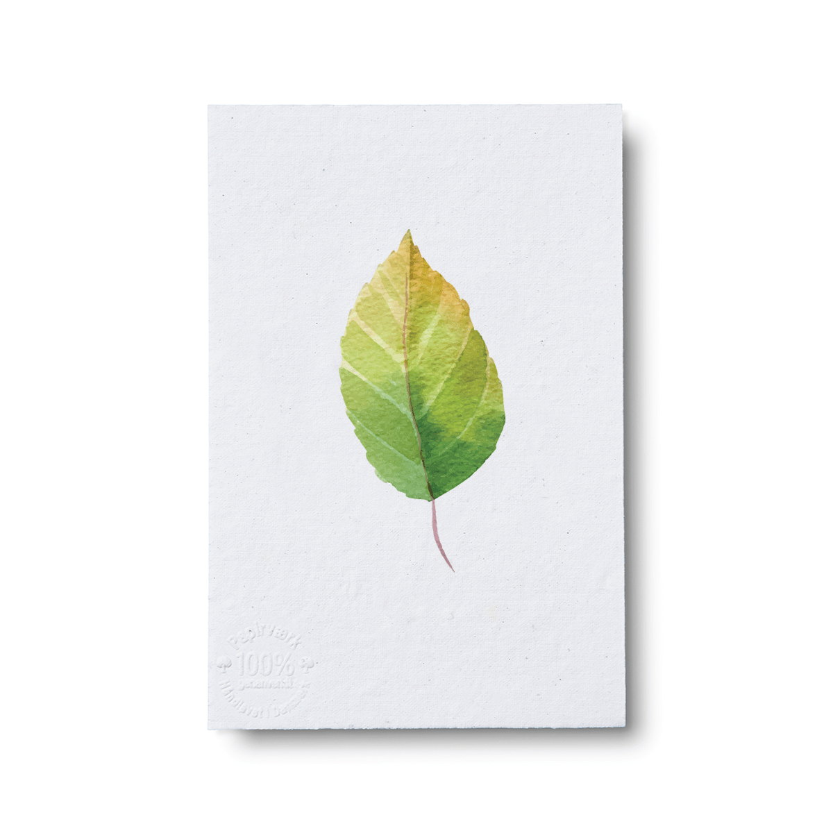 European Spindle - Papirværk