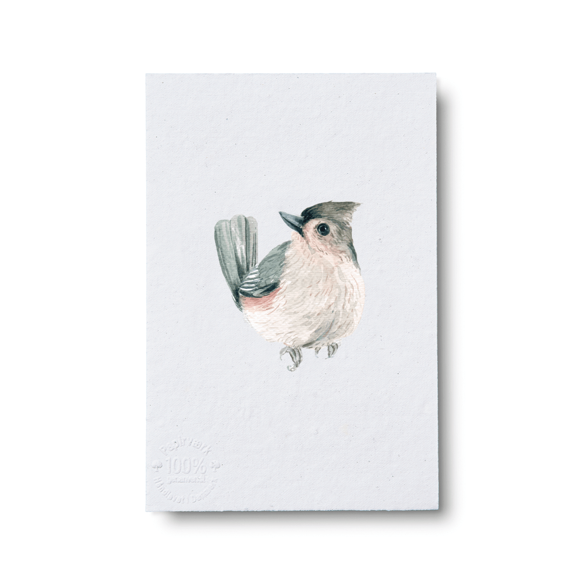 Feathers - Papirværk