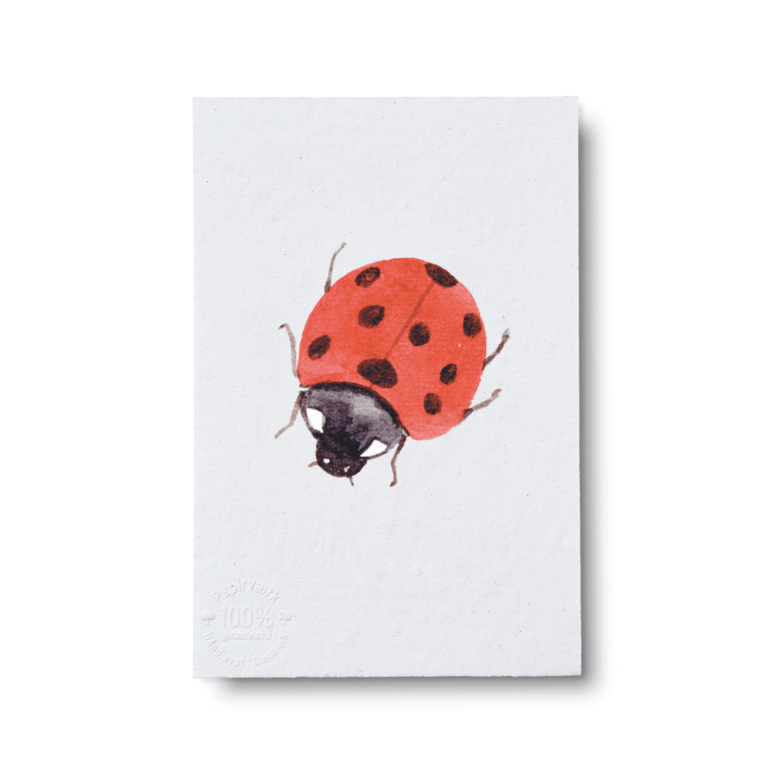 Ladybug - Papirværk