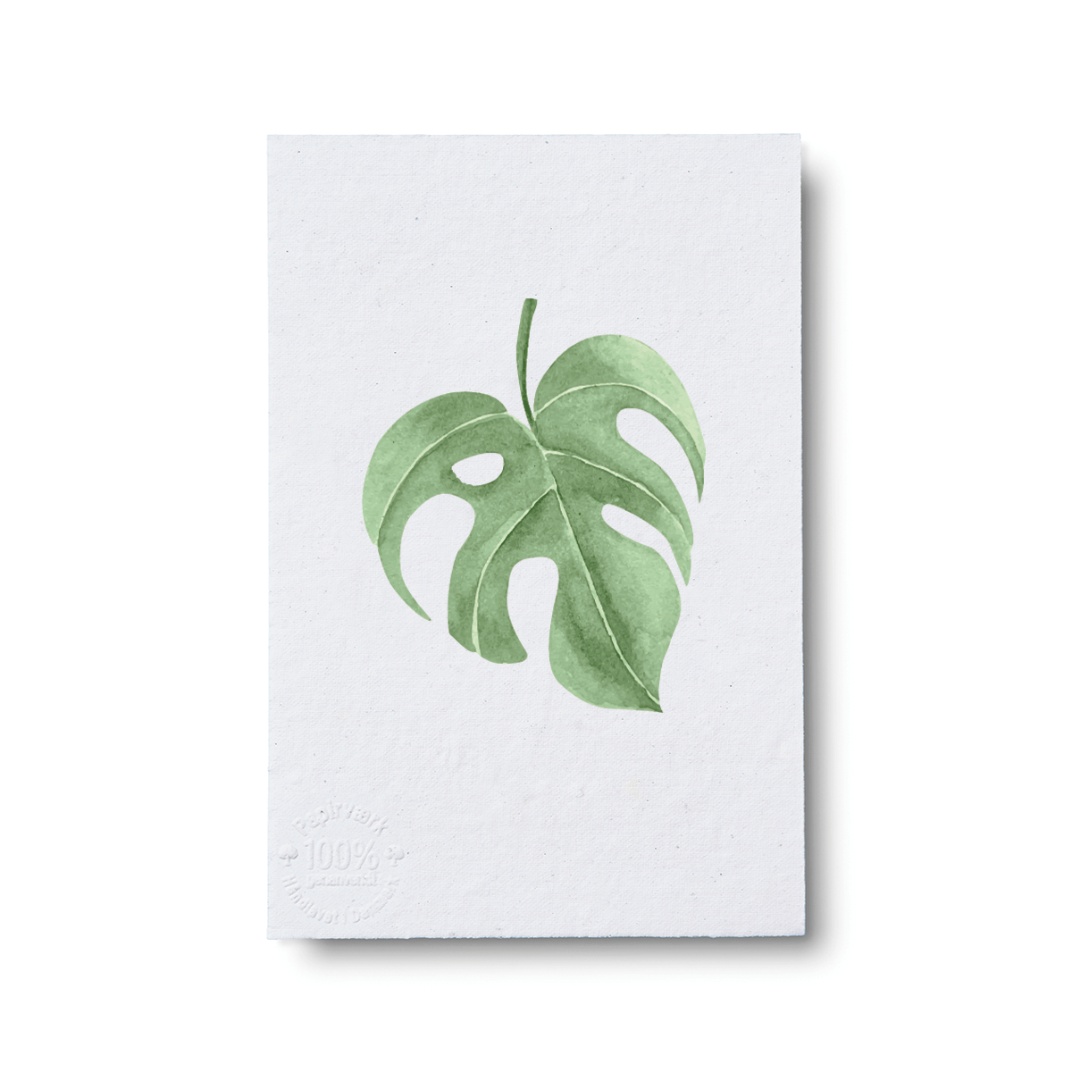 Monstera - Papirværk