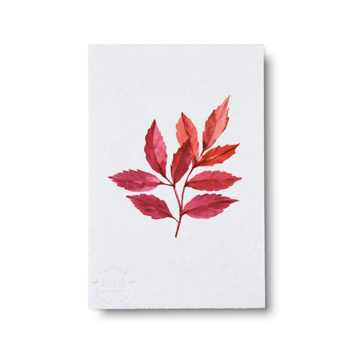 Mountain Ash - Papirværk