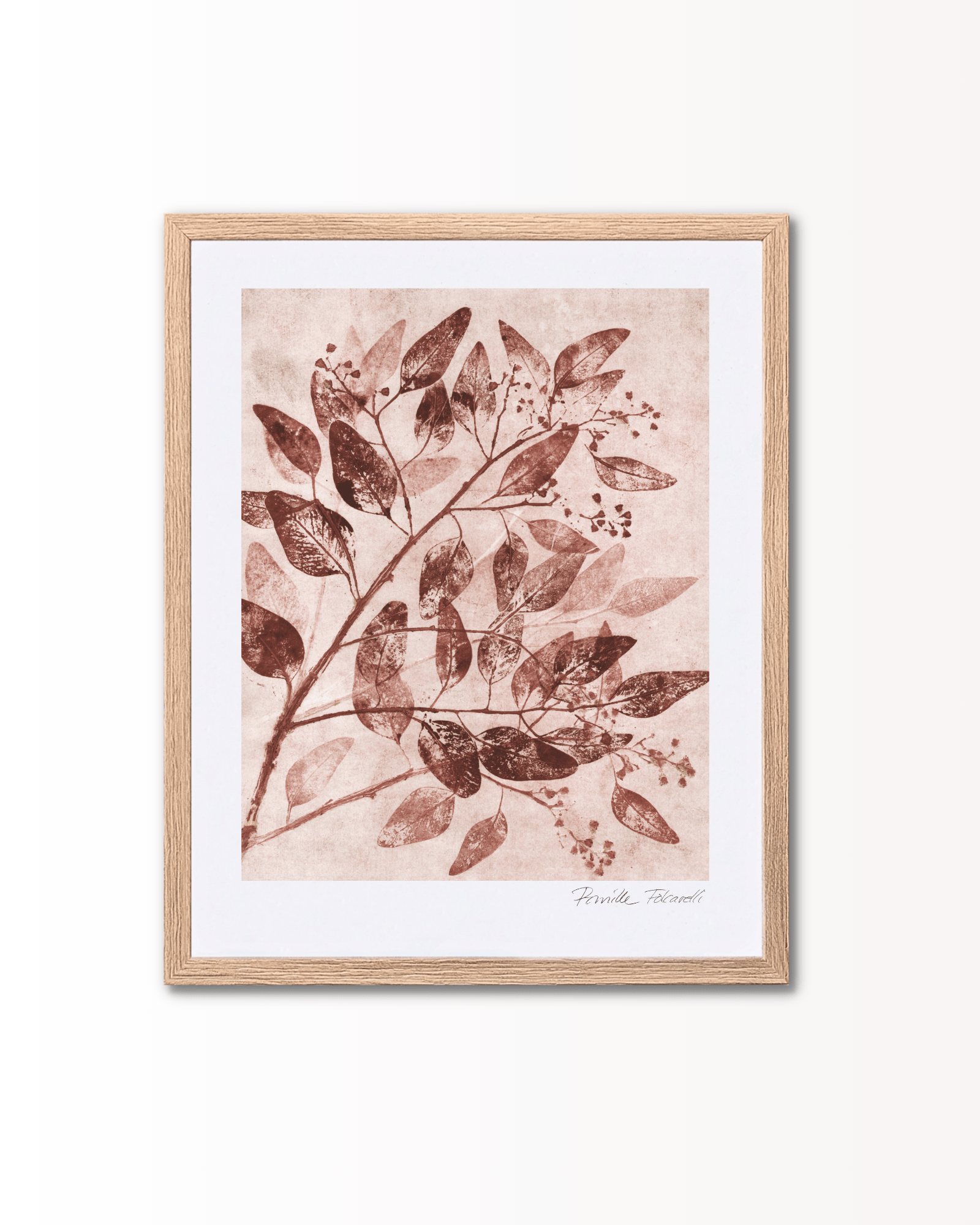 Pernille Folcarelli - Eucalyptus Sienna - Limited ed. - Papirværk