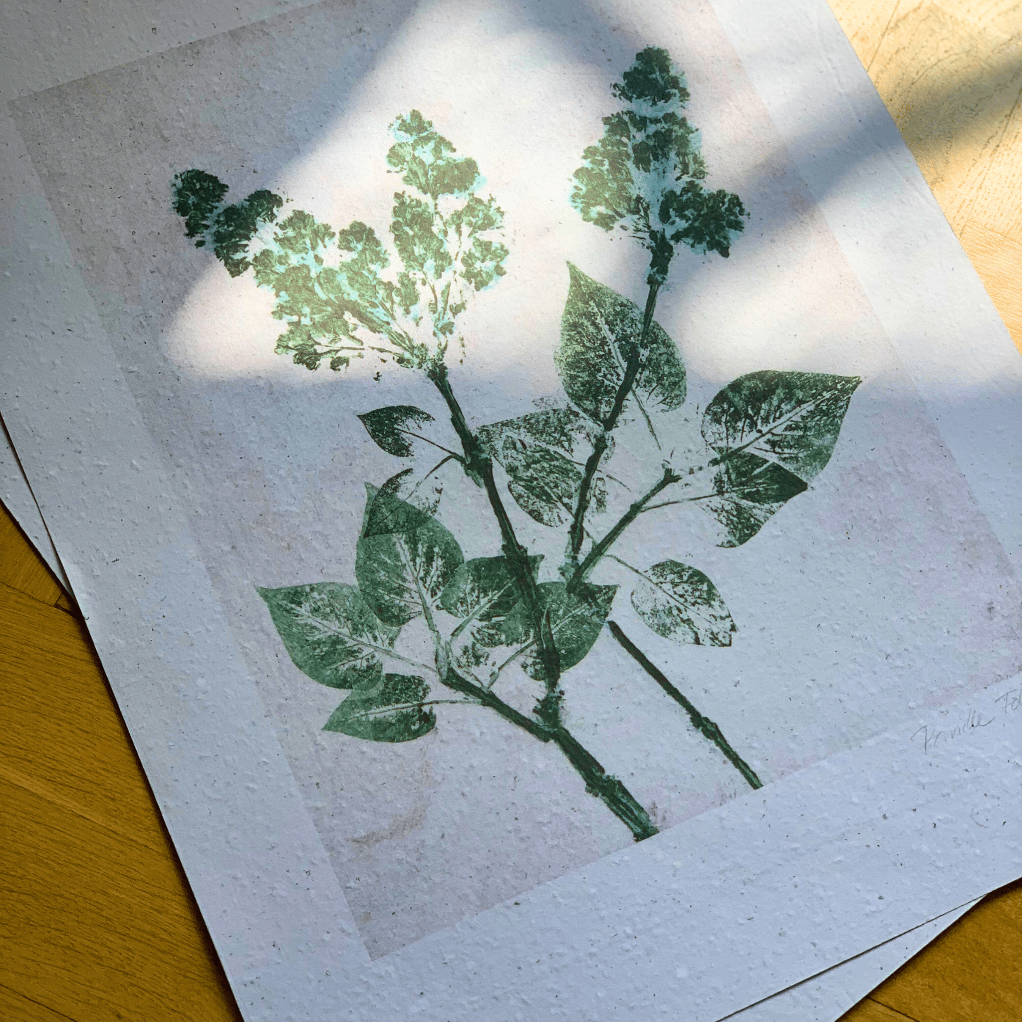 Pernille Folcarelli - Lilac Green - Limited ed. - Papirværk