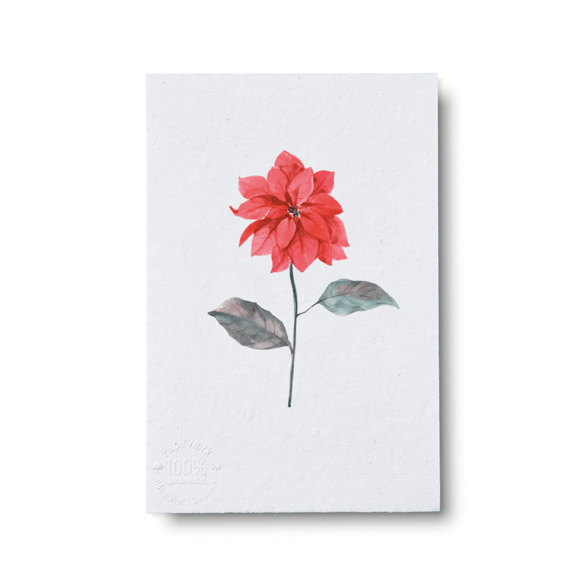 Poinsettia - Papirværk
