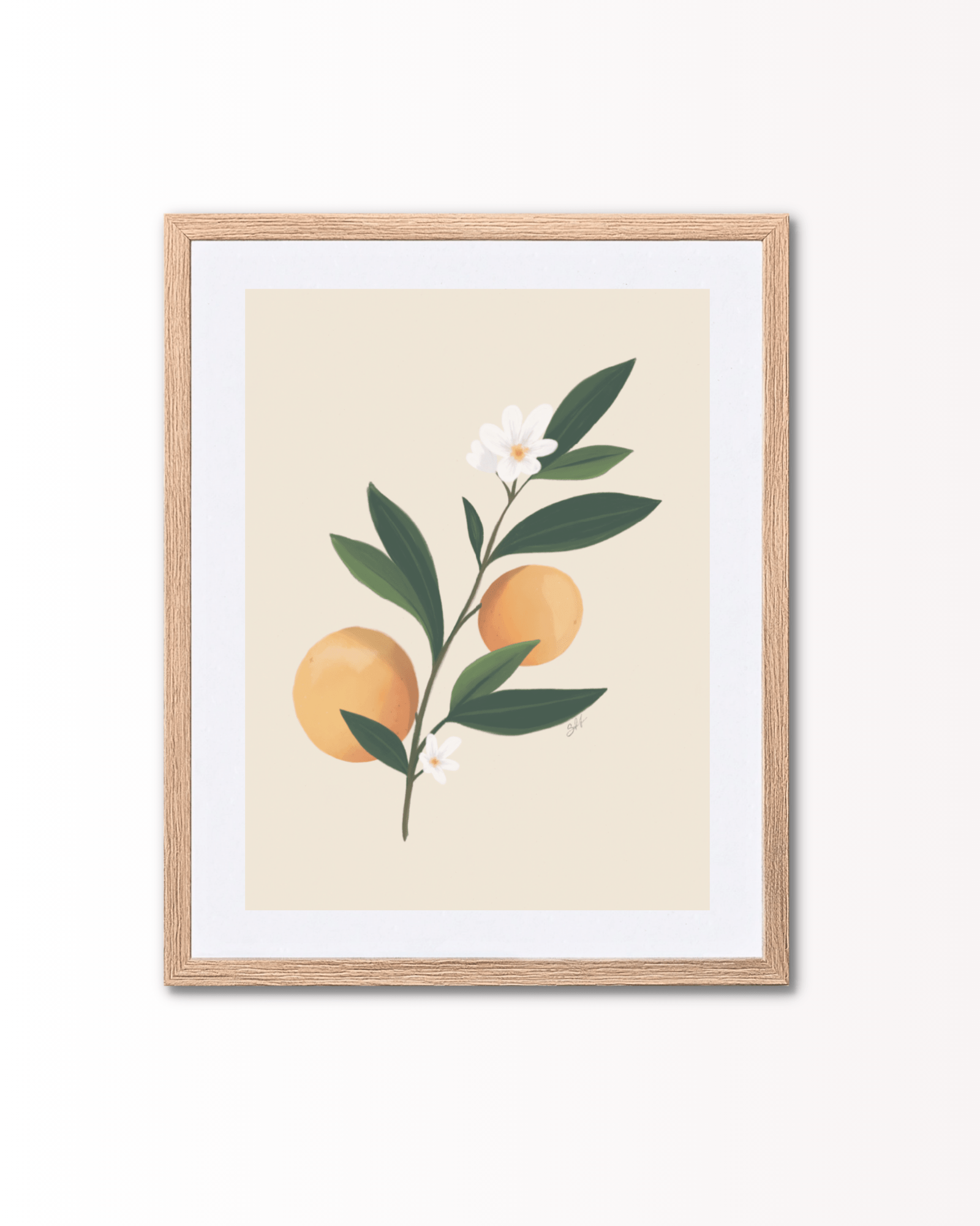 Sofia Jønson Schmidt - Appelsiner i flor - Papirværk