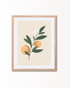 Sofia Jønson Schmidt - Appelsiner i flor - Papirværk