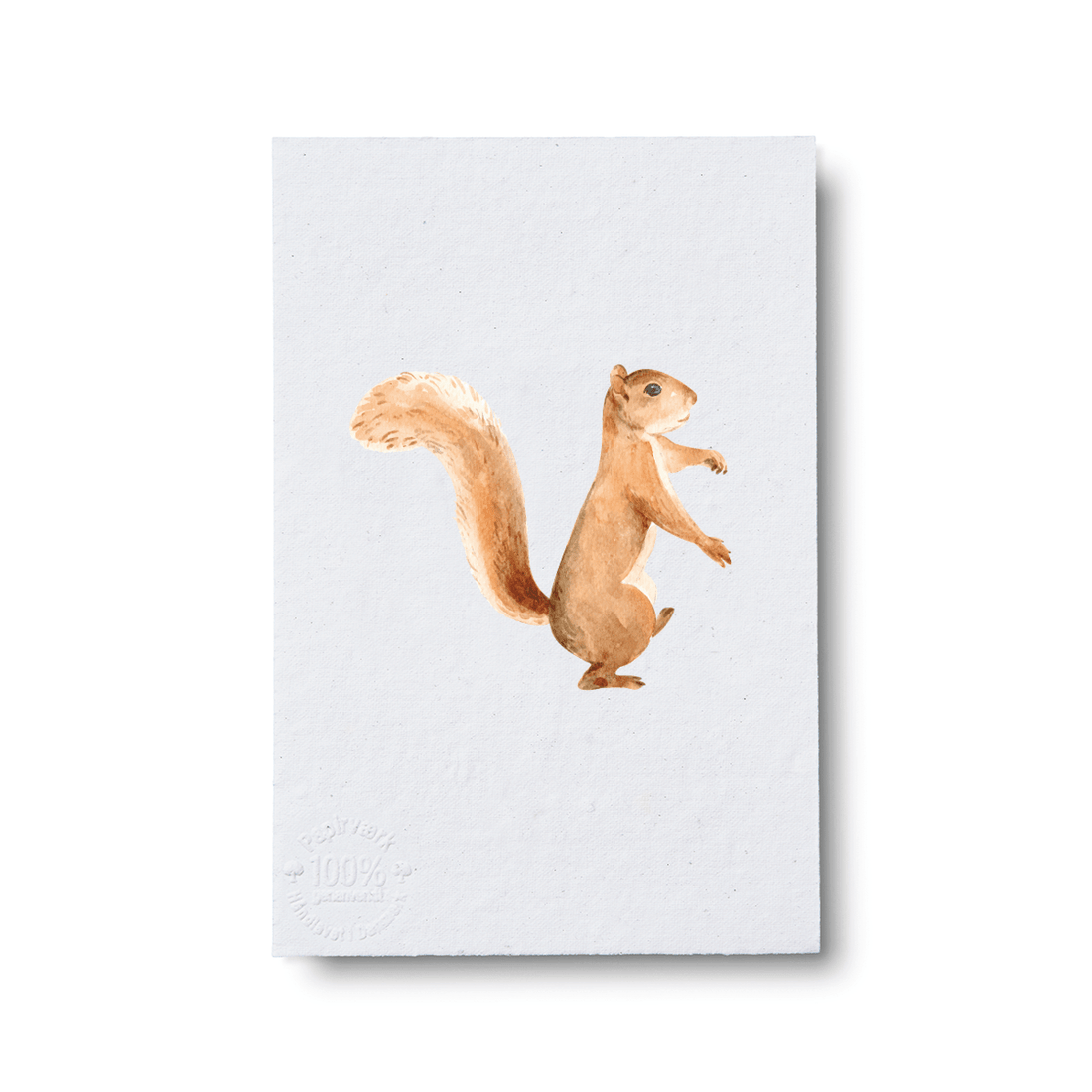 Squirrel - Papirværk