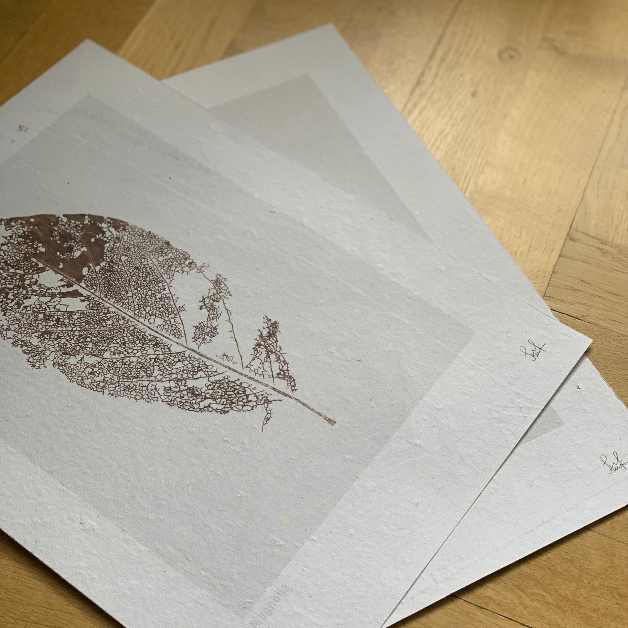 Stine Marie Krebs - Magnolia - Papirværk