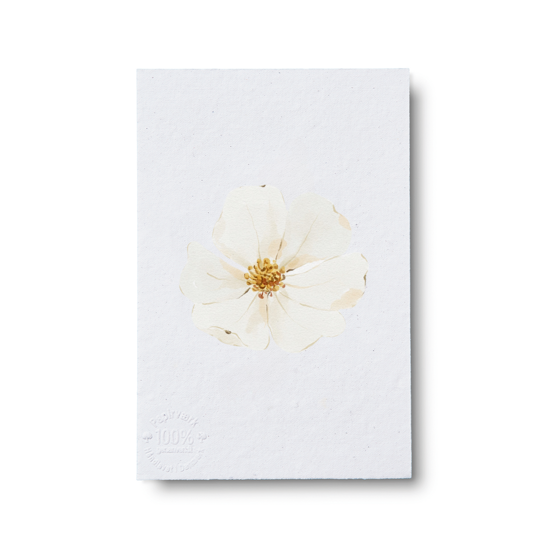Lily