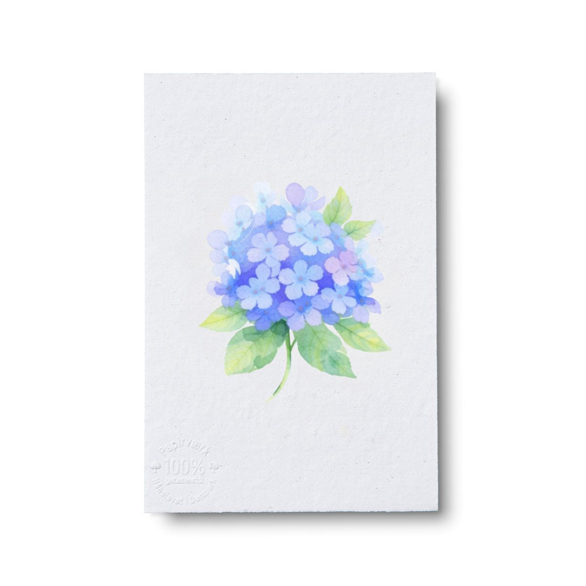 Blue Hydrangea