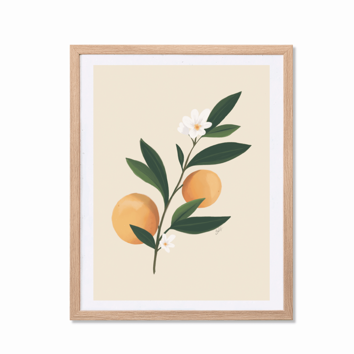 Sofia Jønson Schmidt - Appelsiner i flor - Papirværk